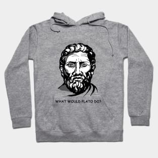 What would plato do? Hoodie